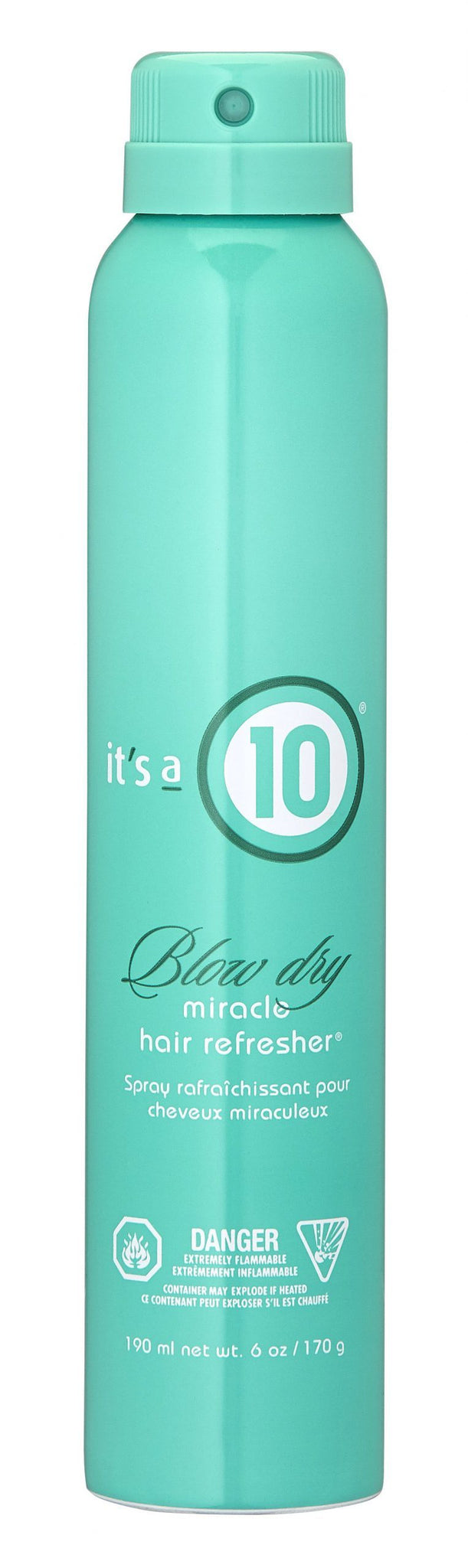 IT'S A 10 MIRACLE BLOW DRY HAIR REFRESHER