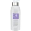 19 Pro Silver Shampoo