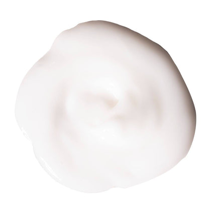 PILLOW PROOF BLOW DRY EXPRESS TREATMENT PRIMER CREAM HAIR PRIMER CREAM FOR ALL HAIR TYPES